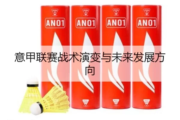 意甲联赛战术演变与未来发展方向
